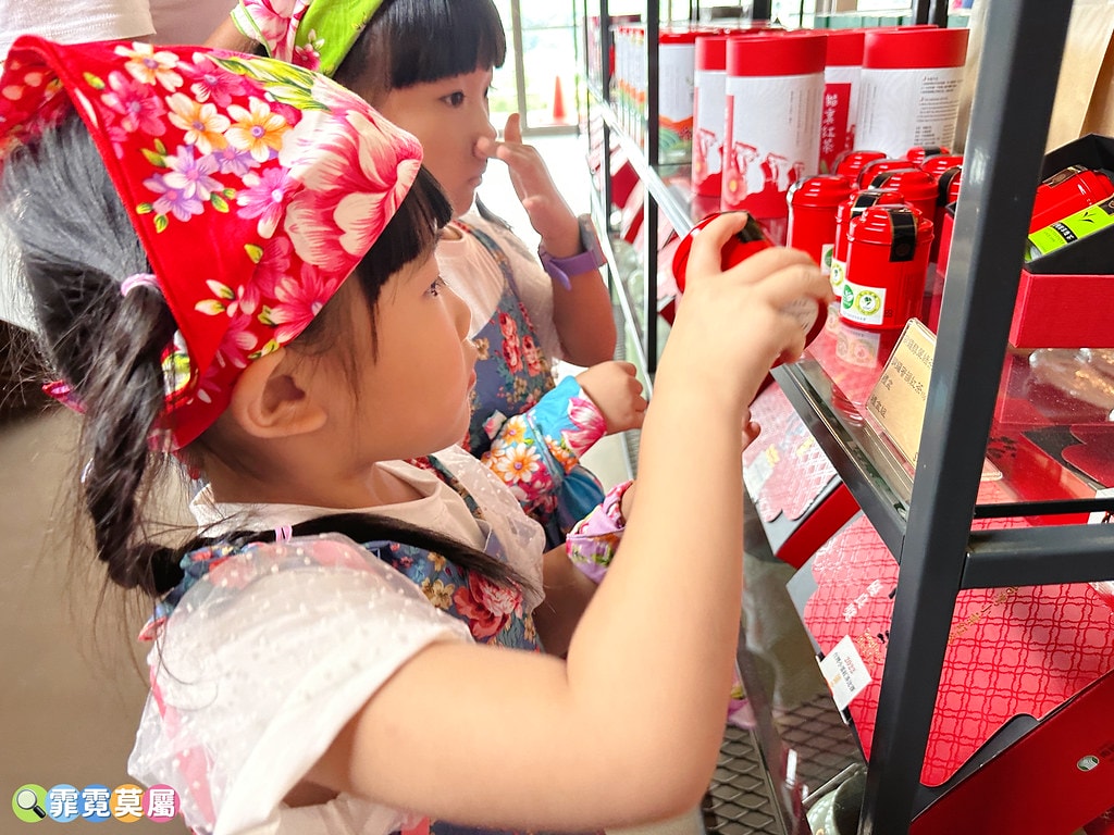 ★苗栗親子景點★ 銅鑼茶廠,可以看火車還能體驗採茶和製茶DI S__112484374_0