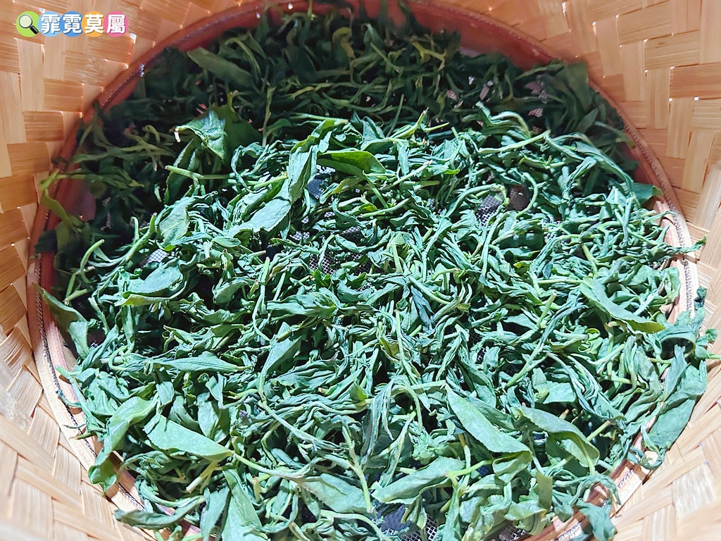 ★苗栗親子景點★ 銅鑼茶廠,可以看火車還能體驗採茶和製茶DI S__112484369_0