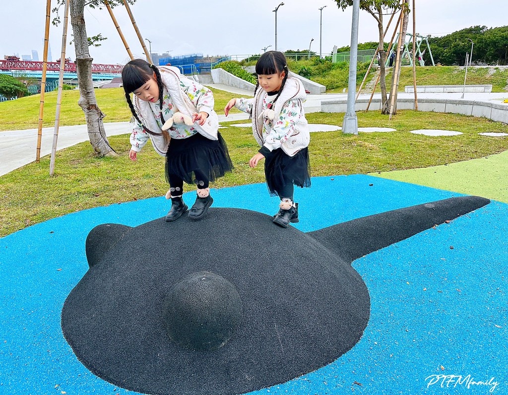 ★台北公園★ 蛙仔坑生態遊戲場,以青蛙為主題設計,有大沙坑、 S__113361036_0