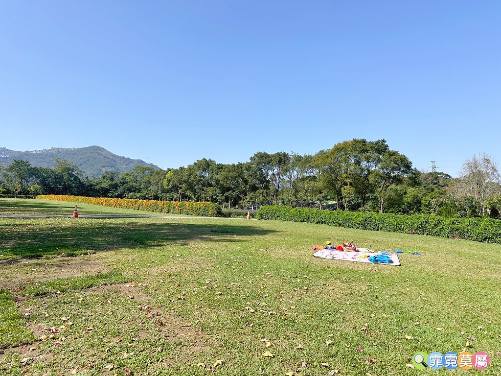 ★新北景點★ 文山農場,穿浴衣賞櫻花漫步在茶園裡,還可以露營 S__113737862_0