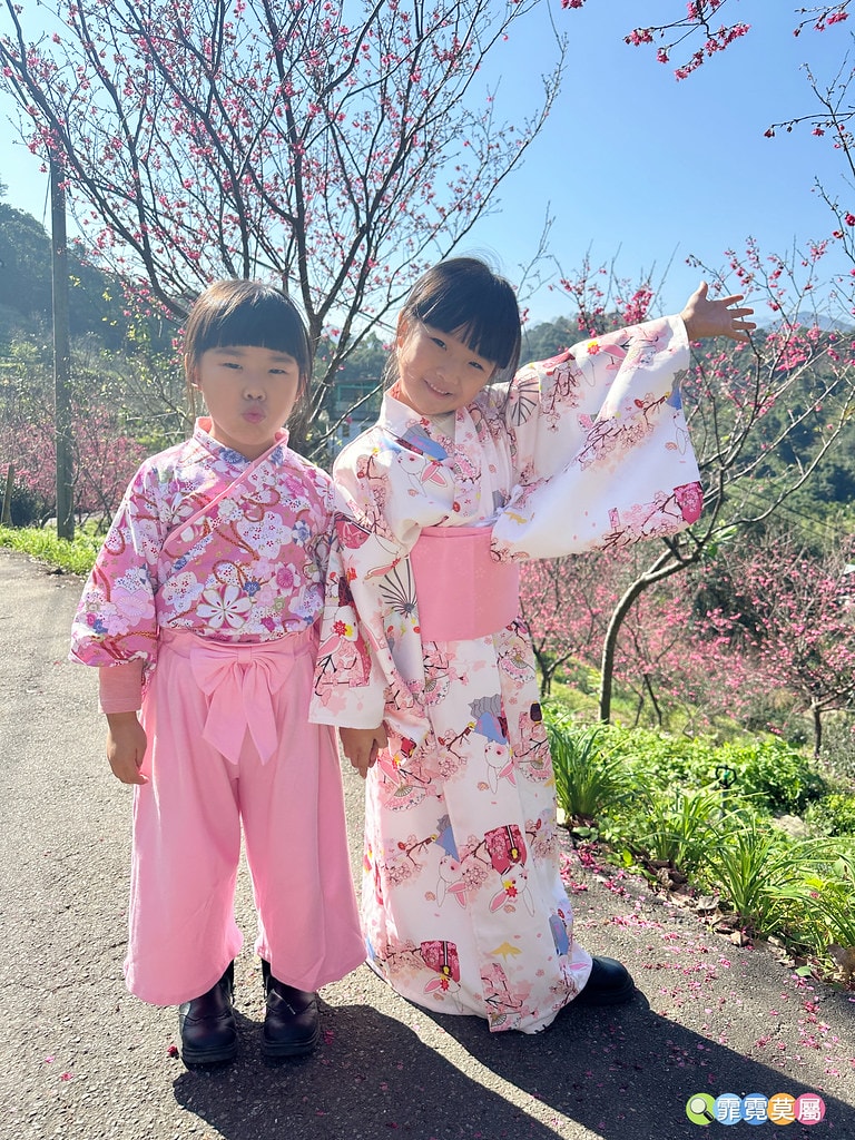★新北景點★ 文山農場,穿浴衣賞櫻花漫步在茶園裡,還可以露營 S__113737857_0