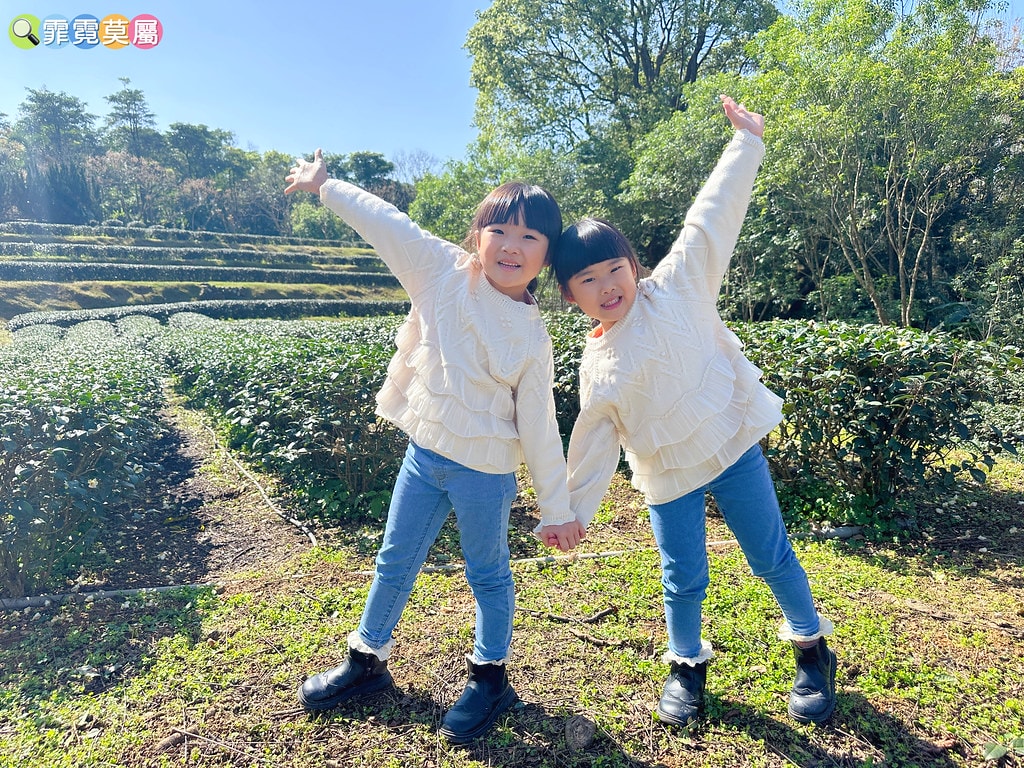 ★新北景點★ 文山農場,穿浴衣賞櫻花漫步在茶園裡,還可以露營 S__113737840_0