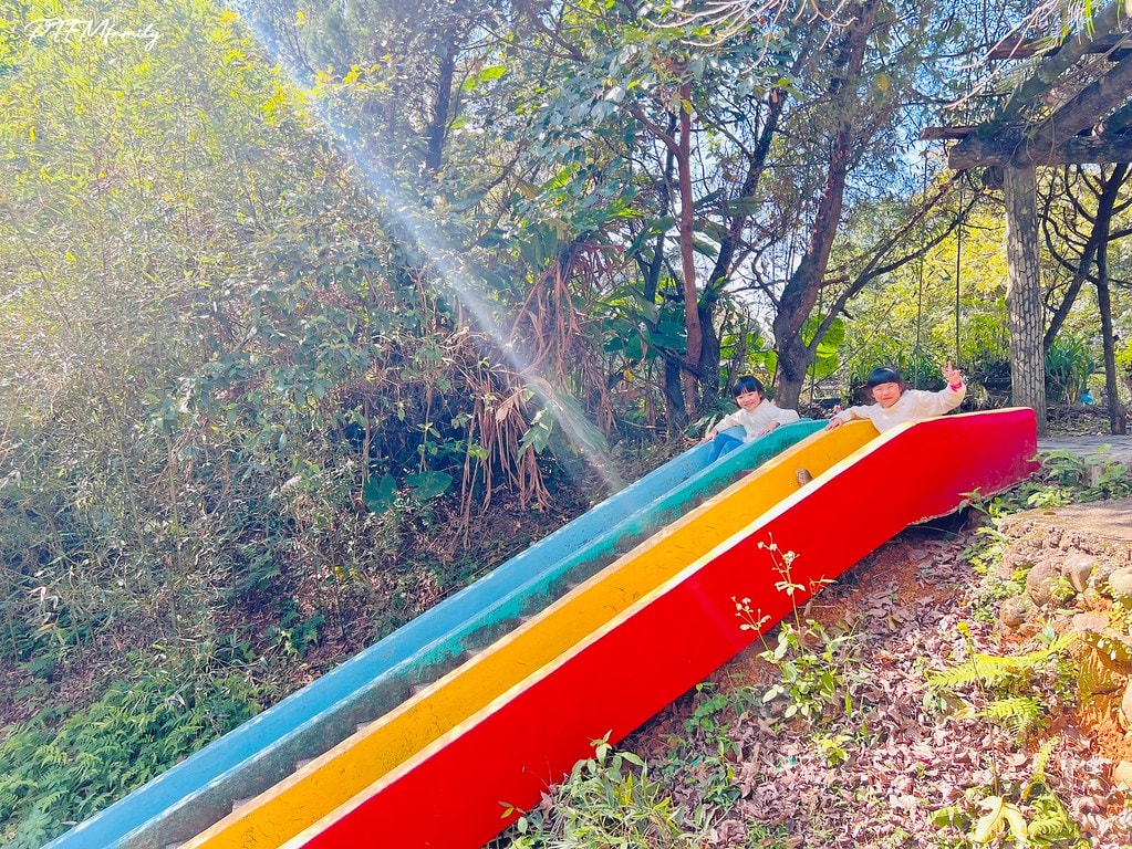 ★新北景點★ 文山農場,穿浴衣賞櫻花漫步在茶園裡,還可以露營 S__113745934_0