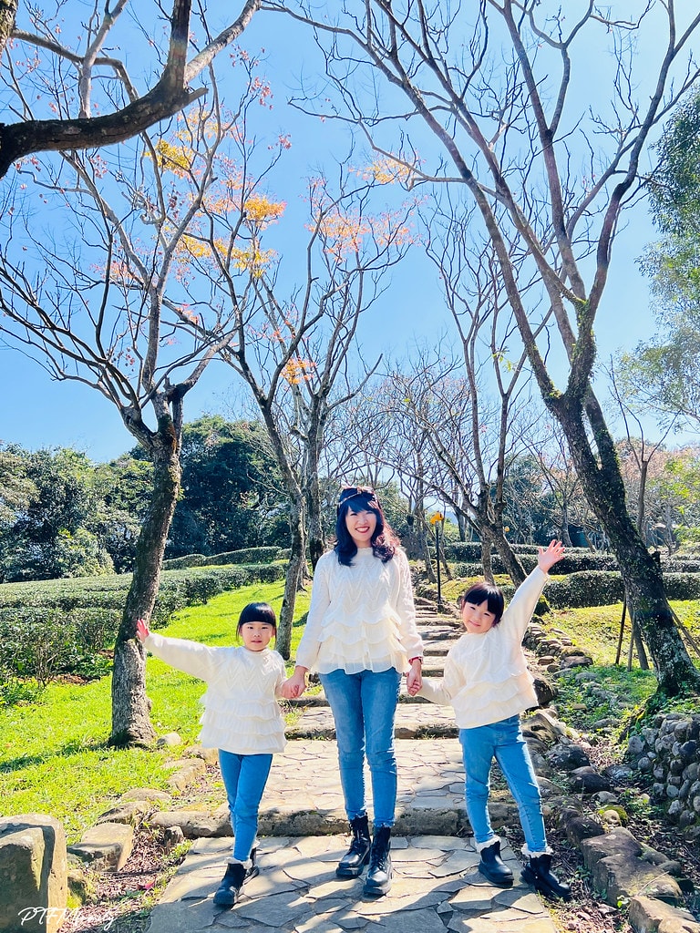 ★新北景點★ 文山農場,穿浴衣賞櫻花漫步在茶園裡,還可以露營 S__113745938_0