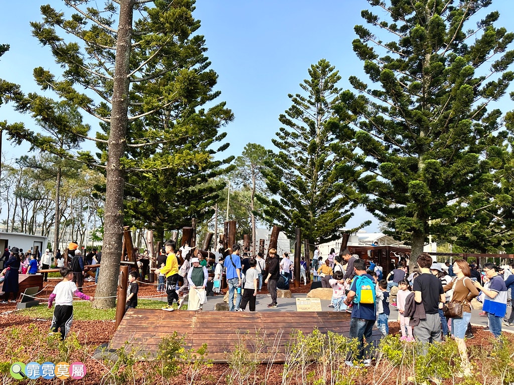 ★桃園公園★ 龍潭綠杉林公園,最新打造的山訓闖關遊戲場,全新 S__114720776_0