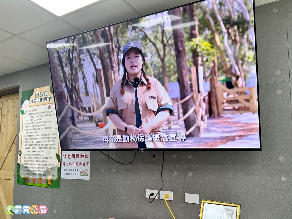 ★嘉義親子景點★ 咩咩上樹萌寵樂園,最新景點有可愛萌寵動物互 S__115810420_0