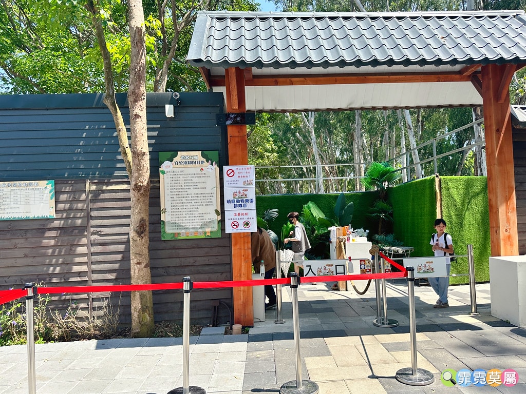 ★嘉義親子景點★ 咩咩上樹萌寵樂園,最新景點有可愛萌寵動物互 S__115810392_0