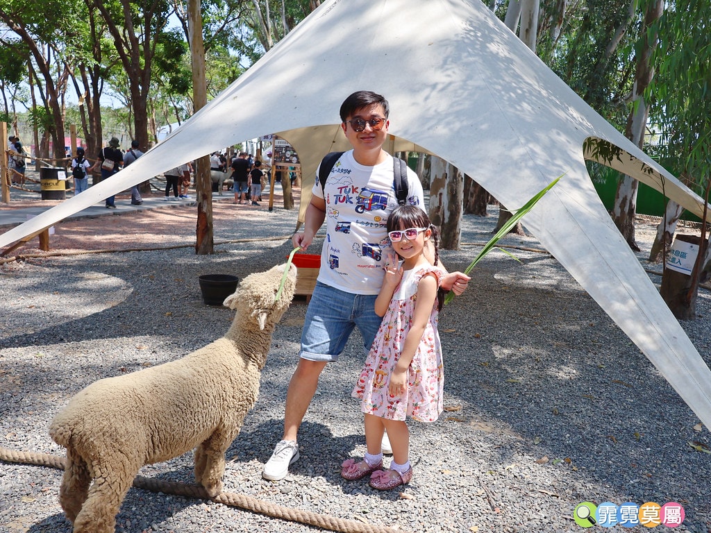 ★嘉義親子景點★ 咩咩上樹萌寵樂園,最新景點有可愛萌寵動物互 S__115810370_0