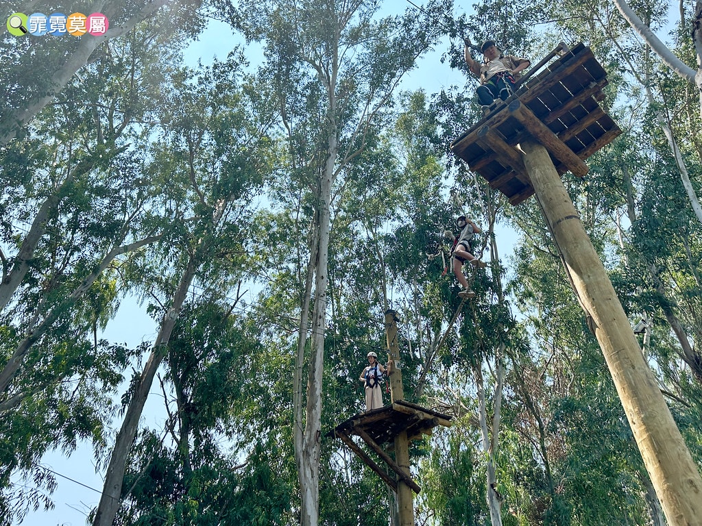 ★嘉義親子景點★ 咩咩上樹萌寵樂園,最新景點有可愛萌寵動物互 S__115810433_0