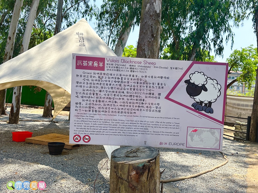 ★嘉義親子景點★ 咩咩上樹萌寵樂園,最新景點有可愛萌寵動物互 S__115810417_0