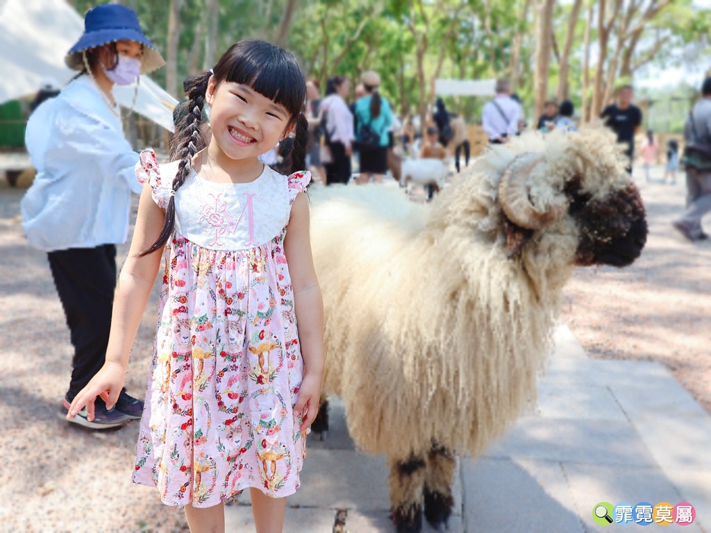★嘉義親子景點★ 咩咩上樹萌寵樂園,最新景點有可愛萌寵動物互 S__115810376_0