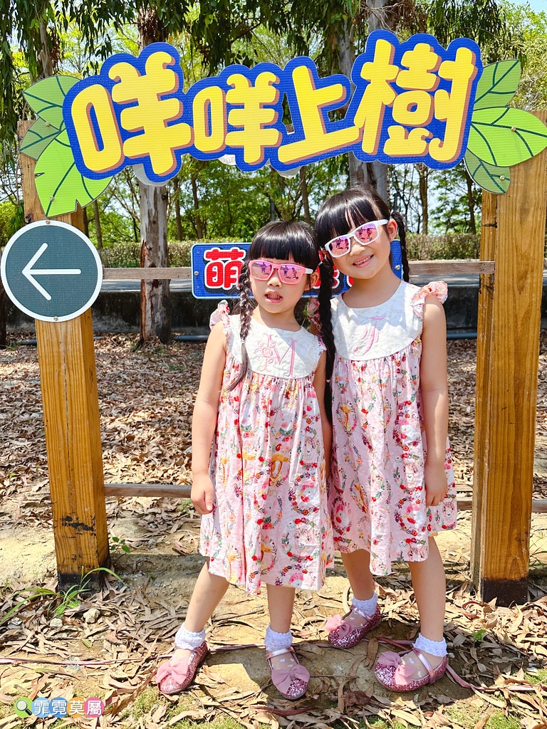 ★嘉義親子景點★ 咩咩上樹萌寵樂園,最新景點有可愛萌寵動物互 S__115810439_0