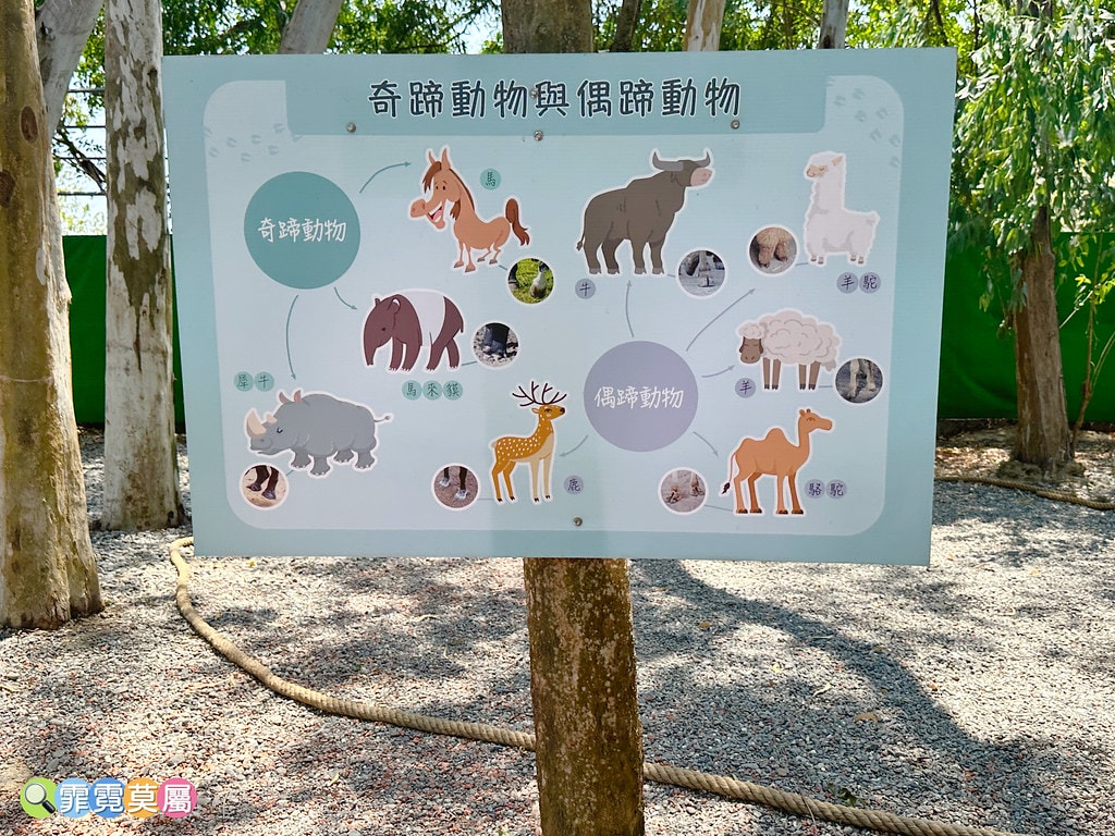 ★嘉義親子景點★ 咩咩上樹萌寵樂園,最新景點有可愛萌寵動物互 S__115810408_0