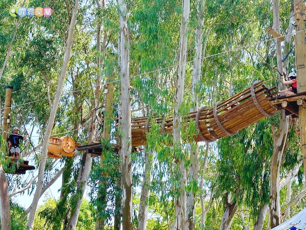 ★嘉義親子景點★ 咩咩上樹萌寵樂園,最新景點有可愛萌寵動物互 S__115810382_0