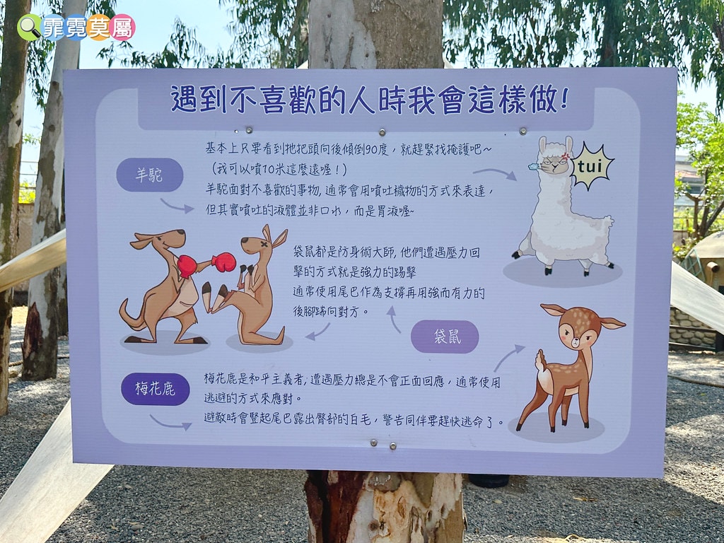 ★嘉義親子景點★ 咩咩上樹萌寵樂園,最新景點有可愛萌寵動物互 S__115810415_0