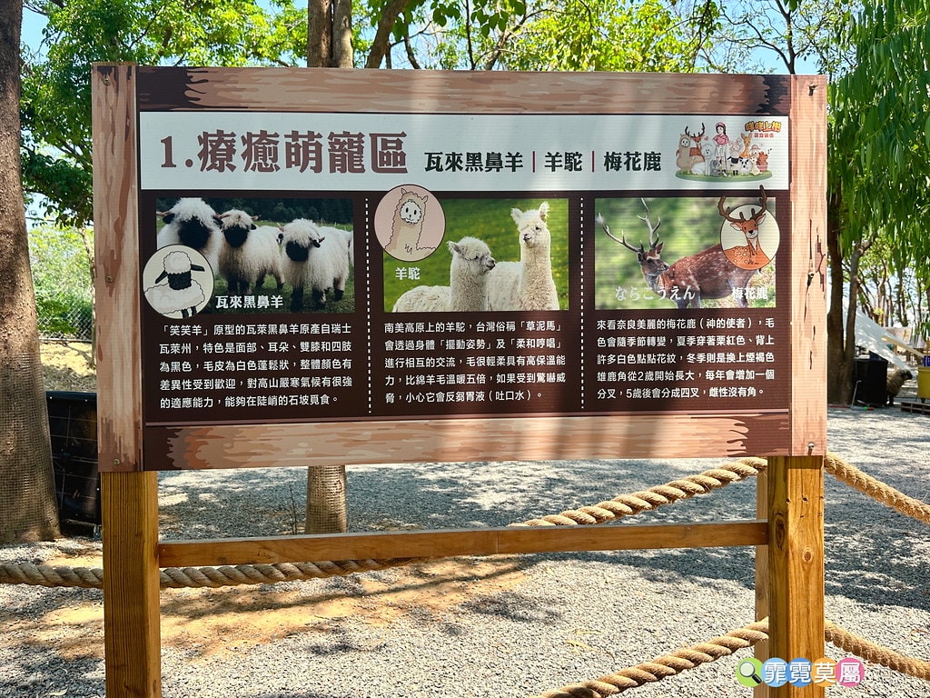 ★嘉義親子景點★ 咩咩上樹萌寵樂園,最新景點有可愛萌寵動物互 S__115810418_0