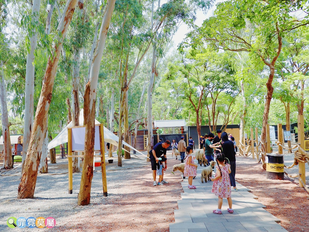 ★嘉義親子景點★ 咩咩上樹萌寵樂園,最新景點有可愛萌寵動物互 S__115810371_0