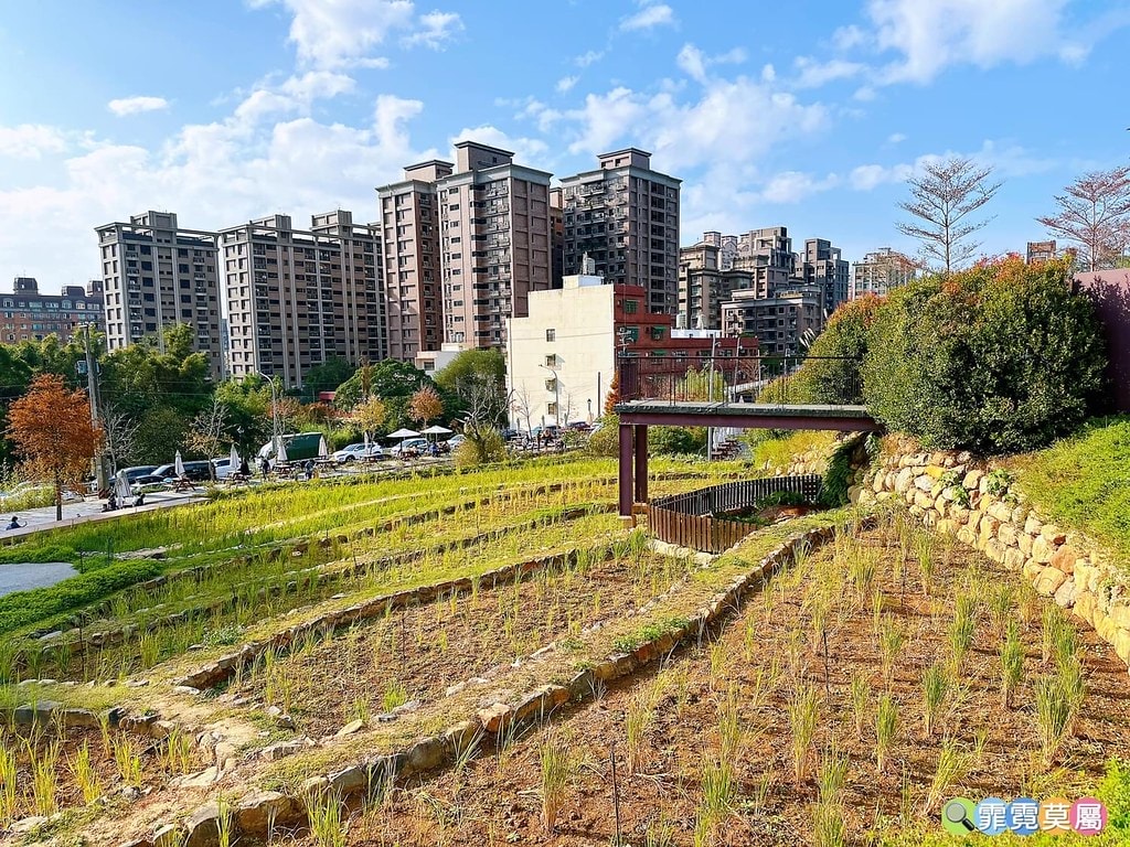 ★桃園公園★ 大有梯田生態公園,桃園最好玩的放電公園首選推薦 S__116039729_0