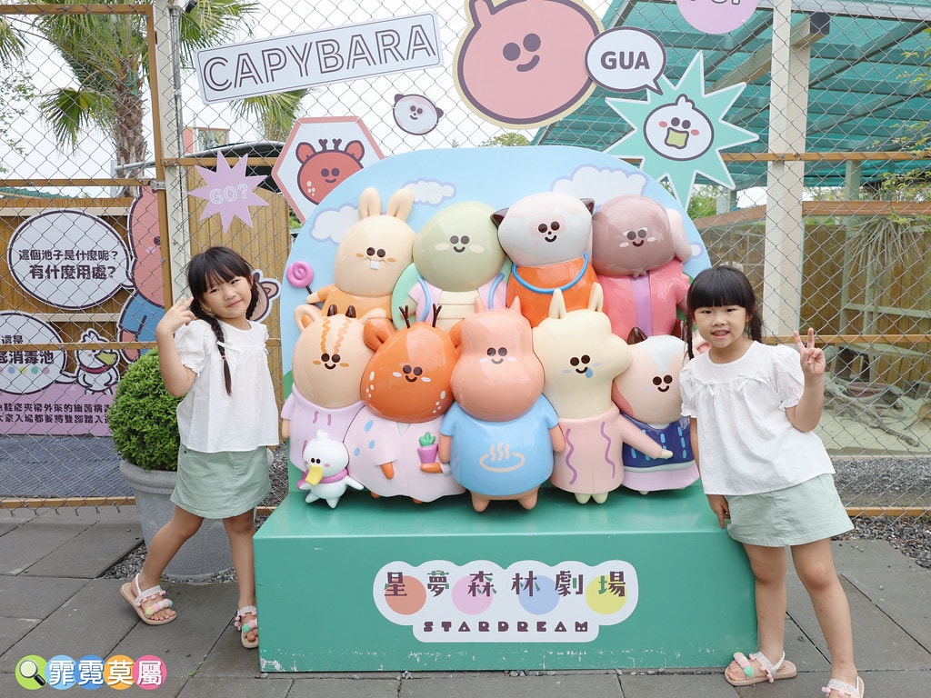 ★宜蘭住宿推薦★ 天使星夢渡假村,超夢幻異國風住宿,和動物互 S__116416599