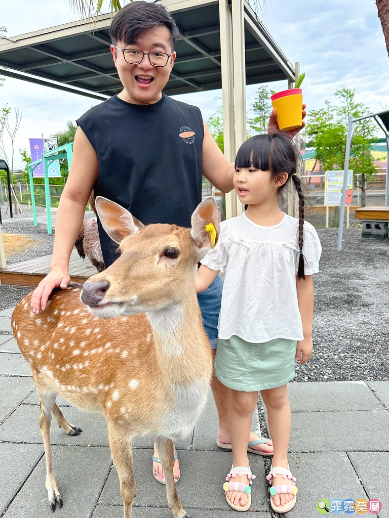 ★宜蘭住宿推薦★ 天使星夢渡假村,超夢幻異國風住宿,和動物互 S__116416616