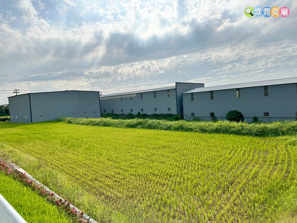 ★桃園最新公園★ 蘆竹新龍公園,以千塘之鄉為主題打造埤塘遊戲 S__116965431_0