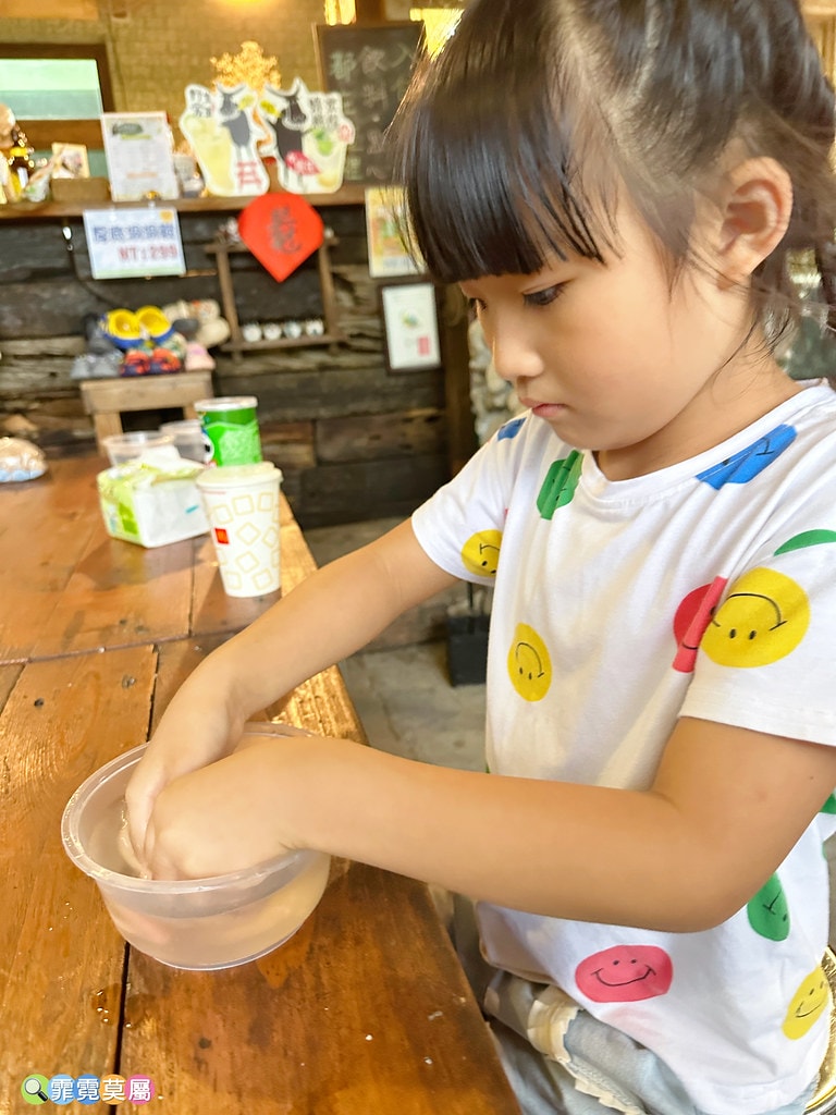★嘉義親子住宿推薦★ 築夢森居,豪華露營車生態體驗之旅! 漂 S__117268597_0