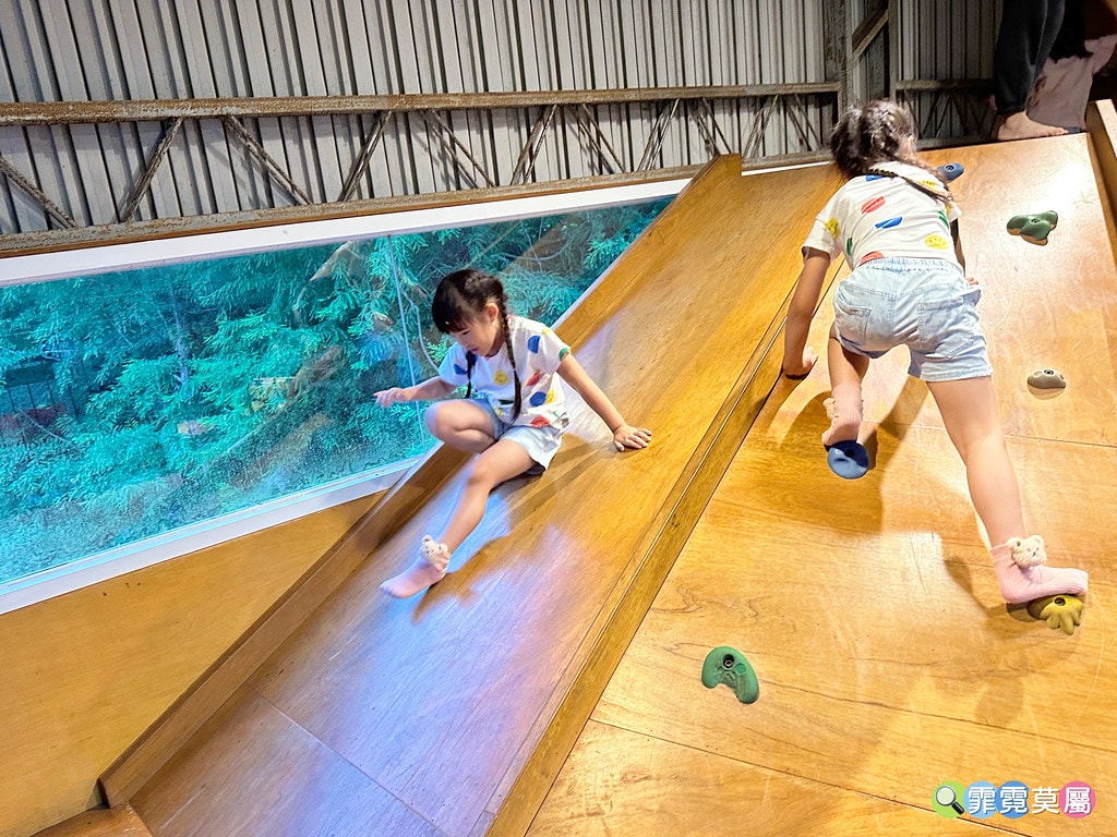 ★嘉義親子住宿推薦★ 築夢森居,豪華露營車生態體驗之旅! 漂 S__117268595_0