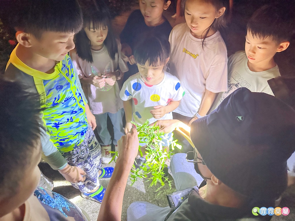 ★嘉義親子住宿推薦★ 築夢森居,豪華露營車生態體驗之旅! 漂 S__117268579_0
