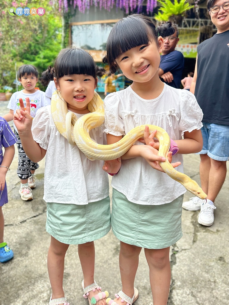 ★嘉義親子住宿推薦★ 築夢森居,豪華露營車生態體驗之旅! 漂 S__117268553_0