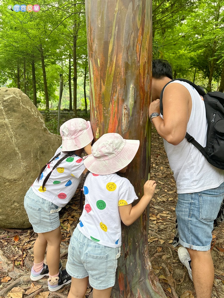 ★嘉義親子住宿推薦★ 築夢森居,豪華露營車生態體驗之旅! 漂 S__117268622_0