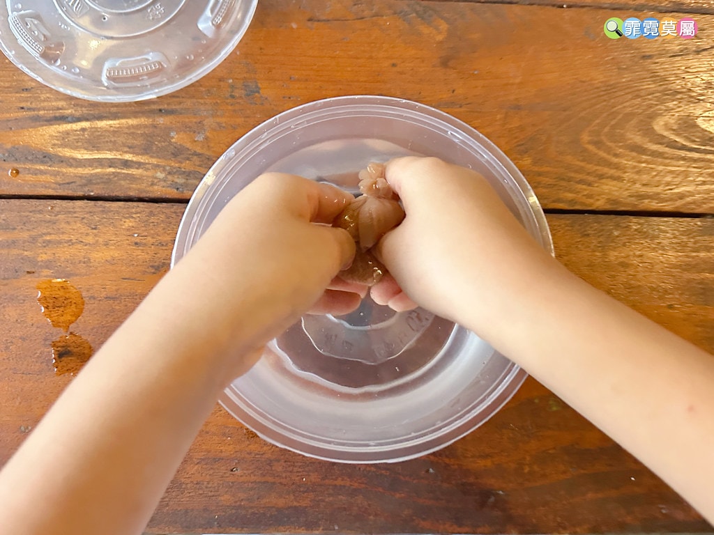 ★嘉義親子住宿推薦★ 築夢森居,豪華露營車生態體驗之旅! 漂 S__117268596_0