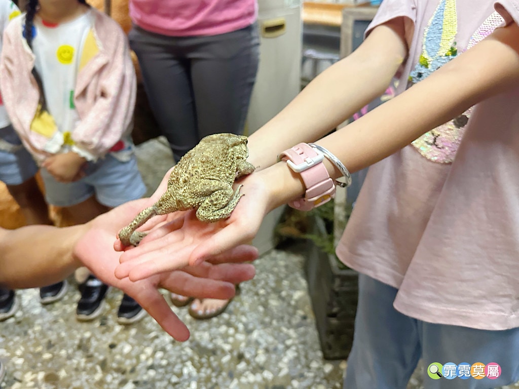 ★嘉義親子住宿推薦★ 築夢森居,豪華露營車生態體驗之旅! 漂 S__117268588_0