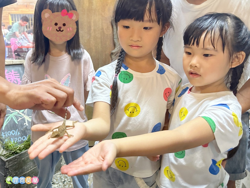 ★嘉義親子住宿推薦★ 築夢森居,豪華露營車生態體驗之旅! 漂 S__117268583_0