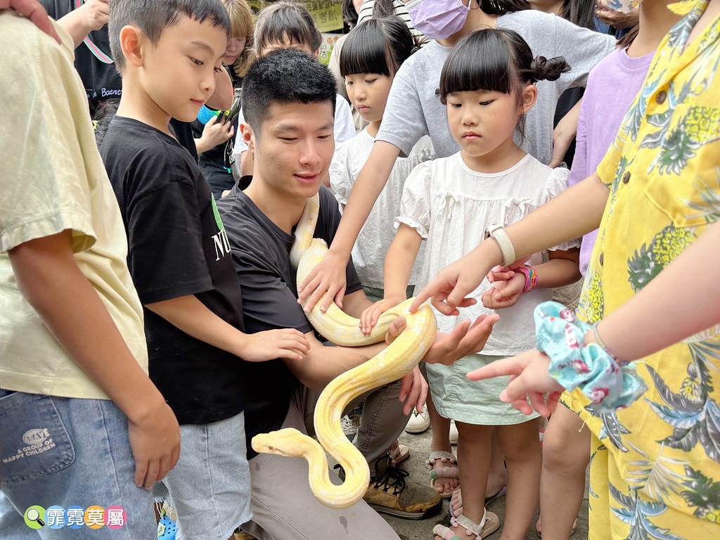 ★嘉義親子住宿推薦★ 築夢森居,豪華露營車生態體驗之旅! 漂 S__117268552_0