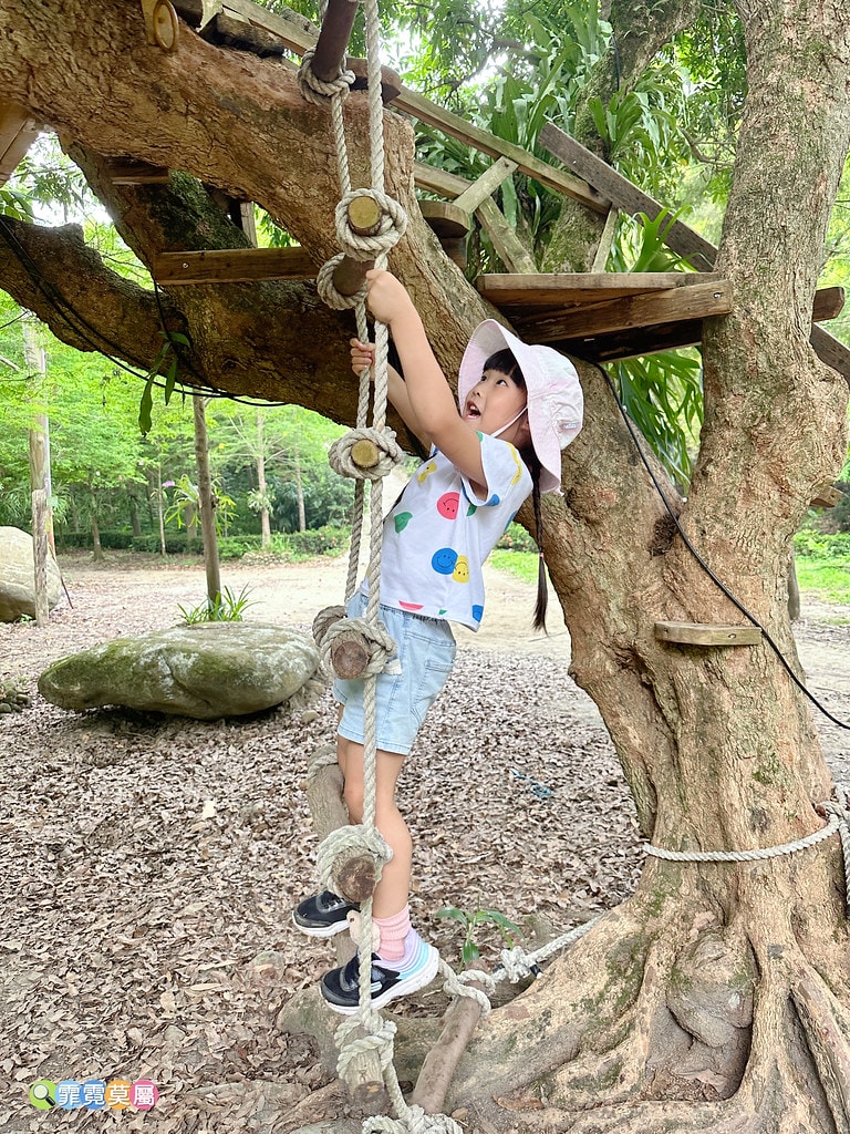 ★嘉義親子住宿推薦★ 築夢森居,豪華露營車生態體驗之旅! 漂 S__117268621_0