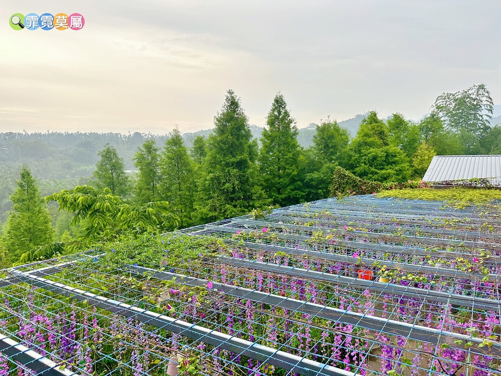 ★嘉義親子住宿推薦★ 築夢森居,豪華露營車生態體驗之旅! 漂 S__117268600_0
