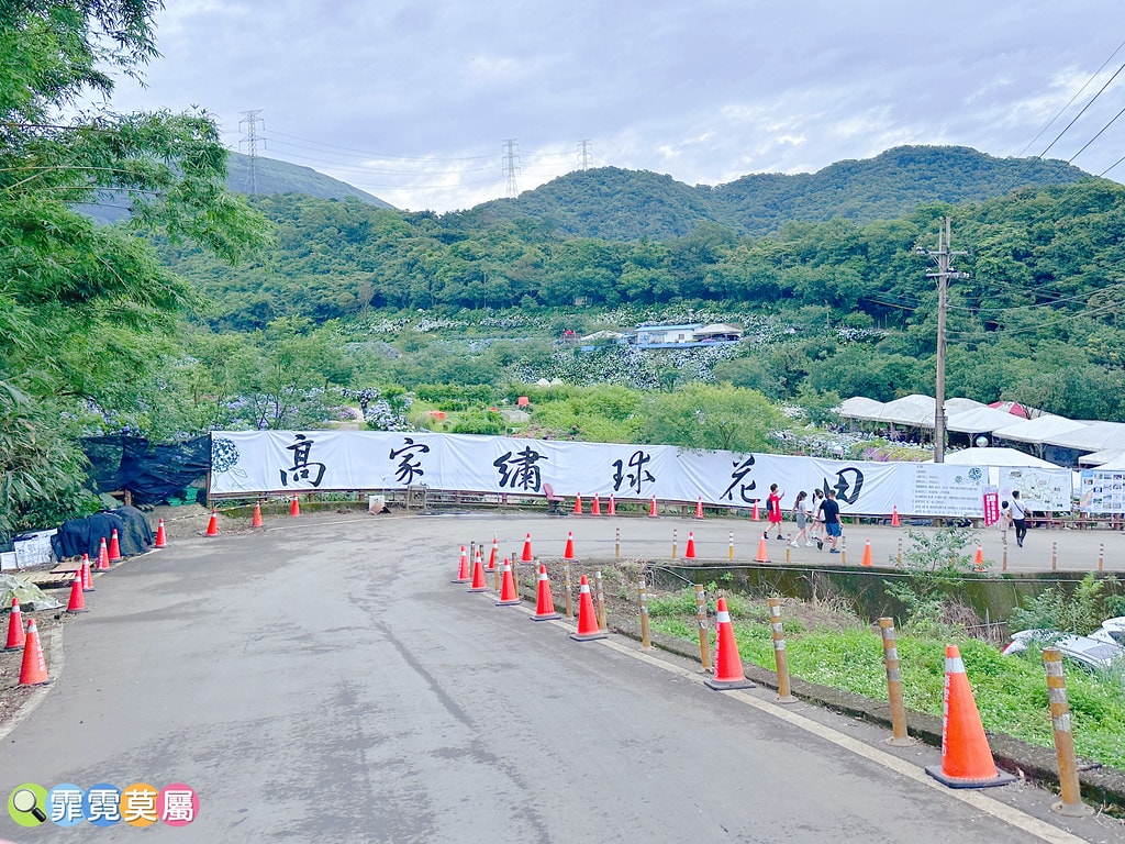 ★新北景點★ 高家繡球花第三園區,全台最大8000坪繡球花園 S__117514296_0