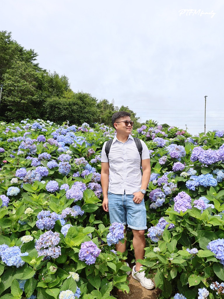★新北景點★ 高家繡球花第三園區,全台最大8000坪繡球花園 S__117514269_0