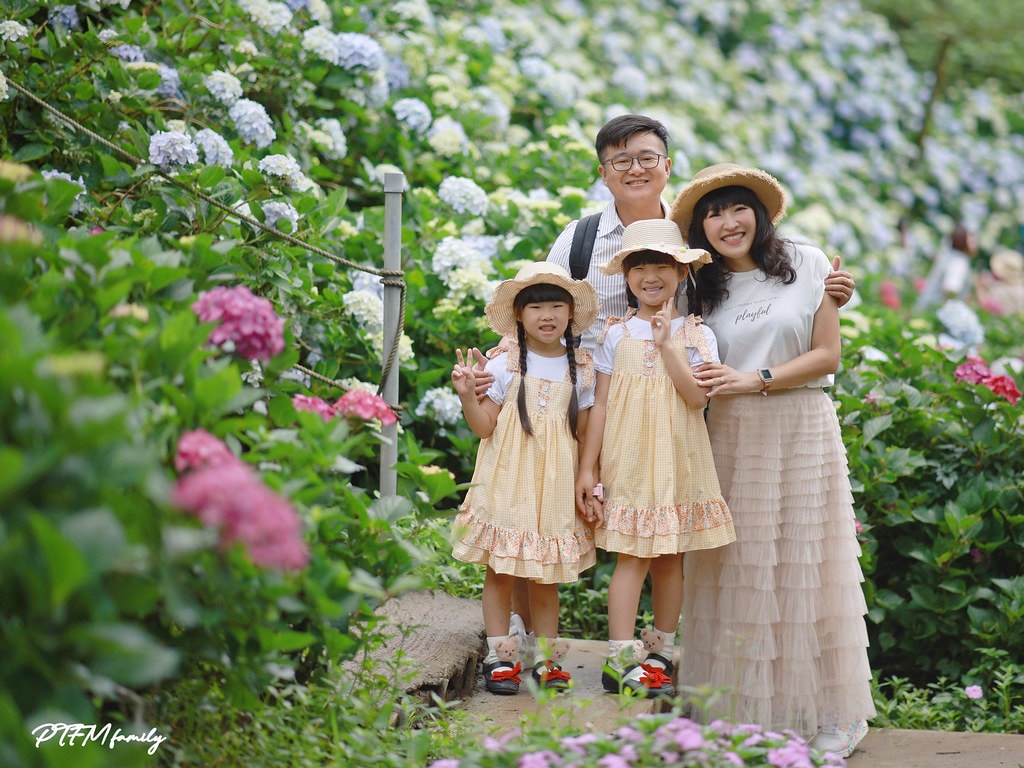 ★新北景點★ 高家繡球花第三園區,全台最大8000坪繡球花園 S__117514267_0