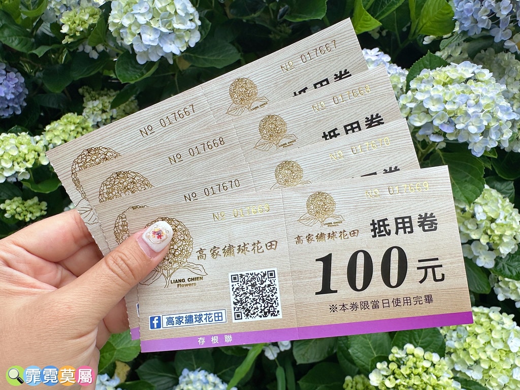 ★新北景點★ 高家繡球花第三園區,全台最大8000坪繡球花園 S__117514288_0