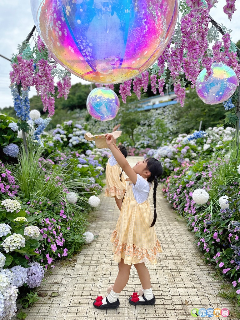 ★新北景點★ 高家繡球花第三園區,全台最大8000坪繡球花園 S__117514284_0