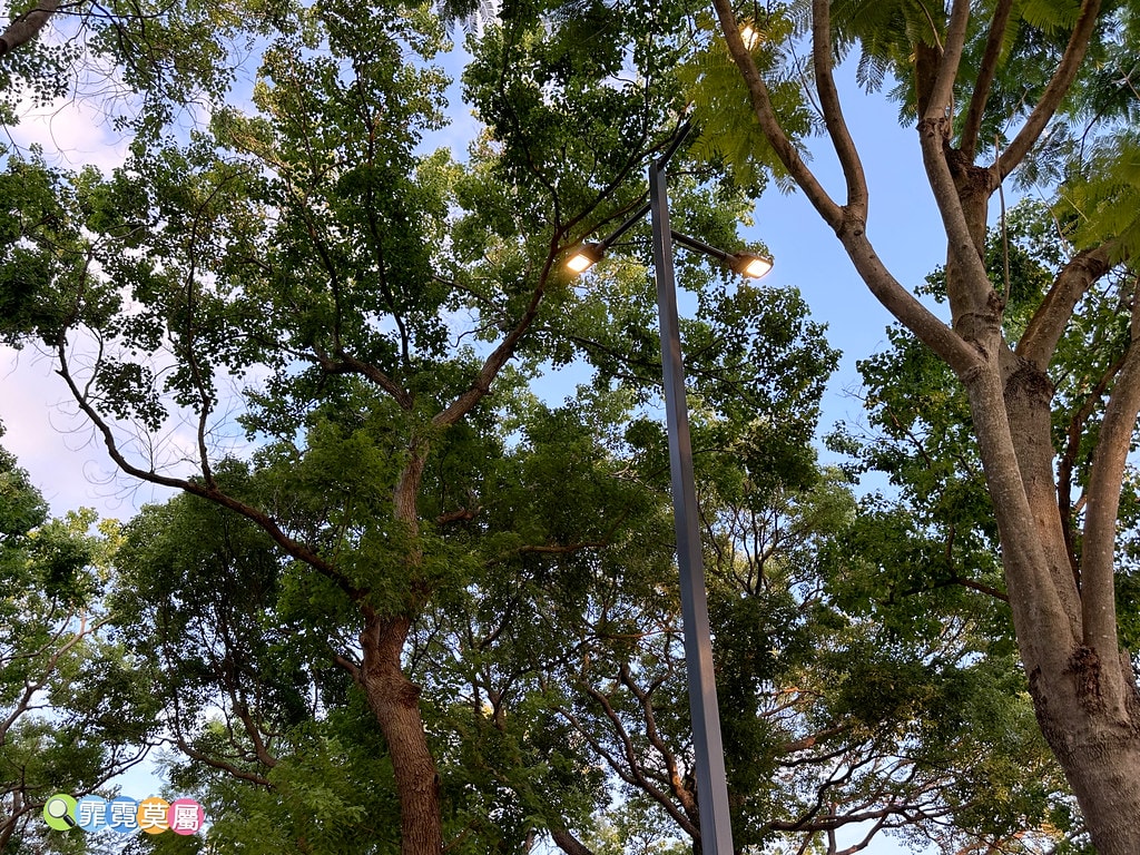 ★桃園親子景點★ 南崁溪第一河濱公園,海陸空遊戲場來這一次滿 S__118587405_0