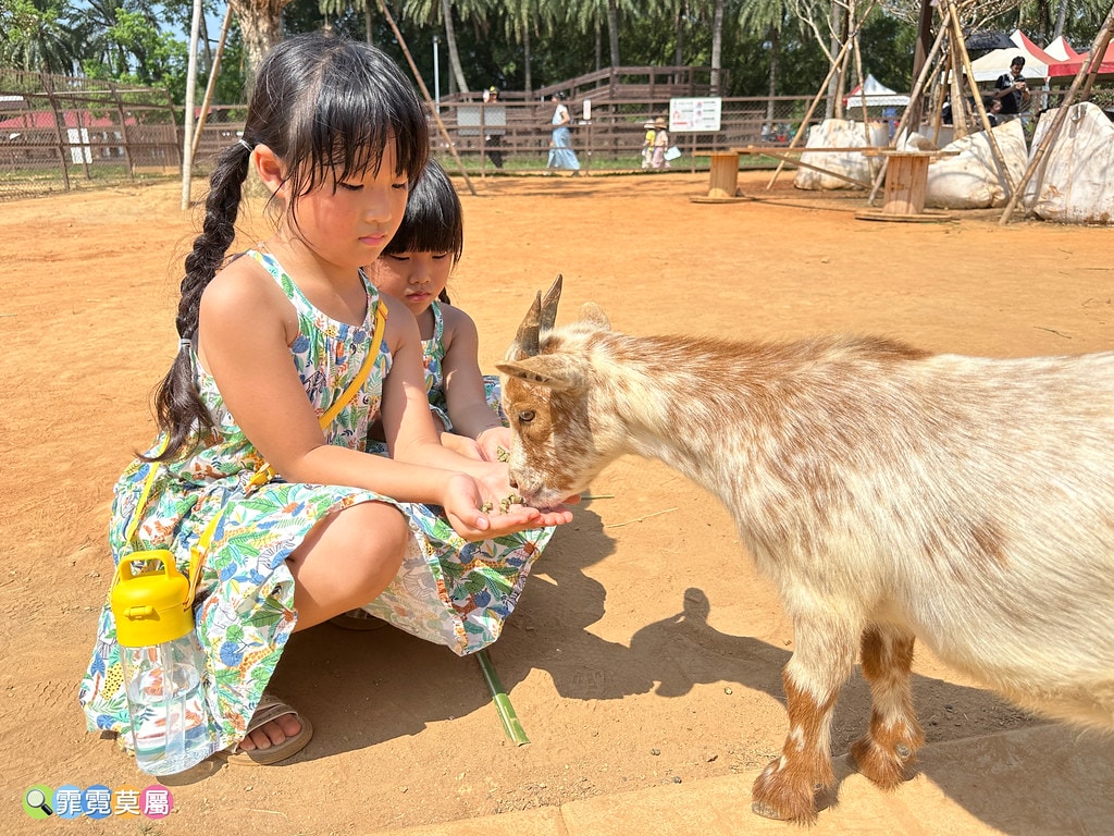 ★桃園親子住宿推薦★ 牛仔星村豪華露營車屋一泊二食體驗,免費 S__121724954_0