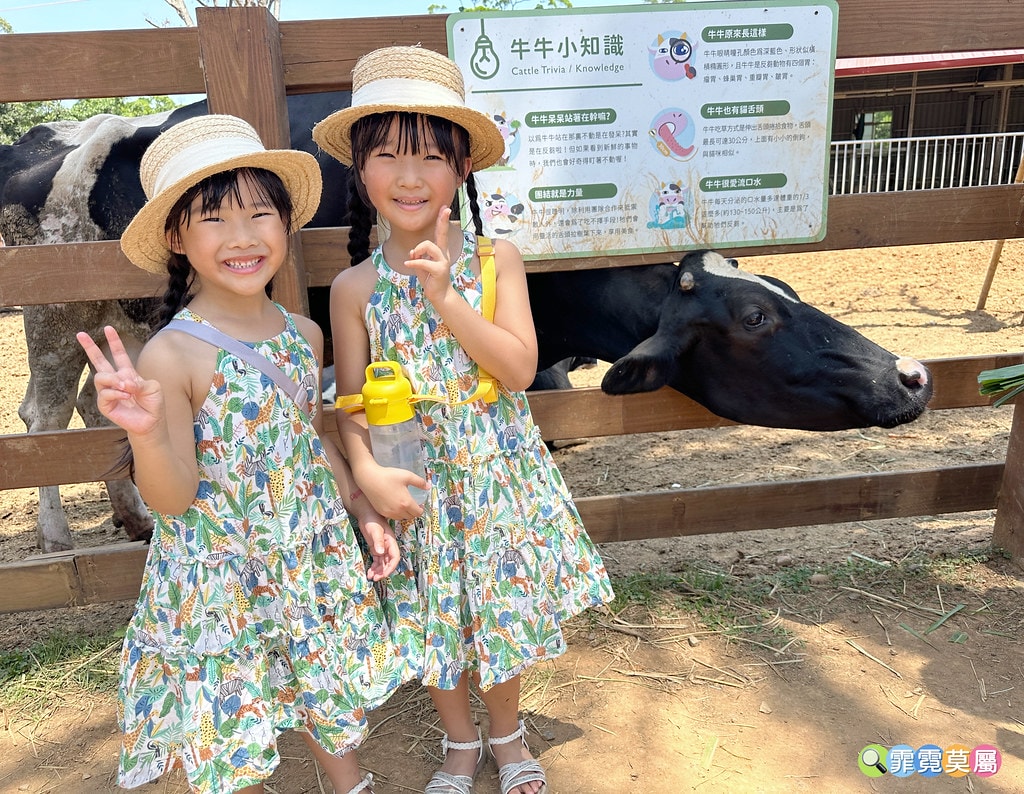 ★桃園親子住宿推薦★ 牛仔星村豪華露營車屋一泊二食體驗,免費 S__121724948_0