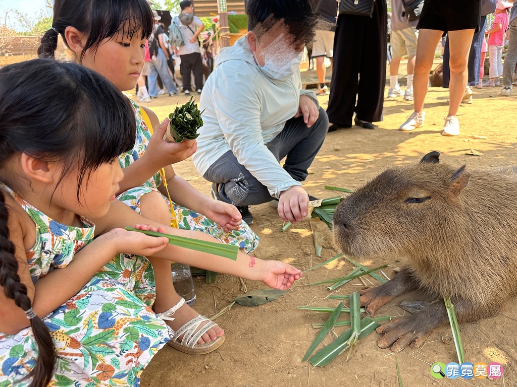 ★桃園親子住宿推薦★ 牛仔星村豪華露營車屋一泊二食體驗,免費 S__121724956_0