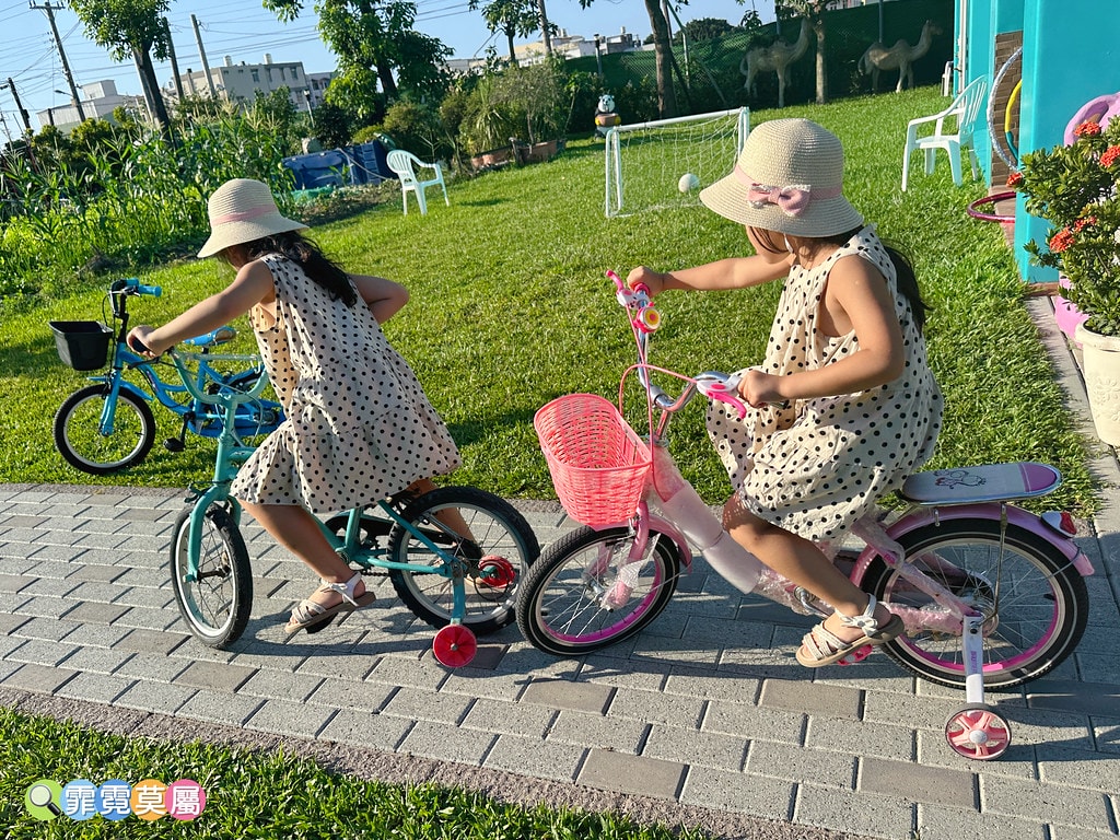 ★彰化親子景點★ 長頸鹿休閒農場,假日限定開放百元門票暢遊一 S__122175603_0