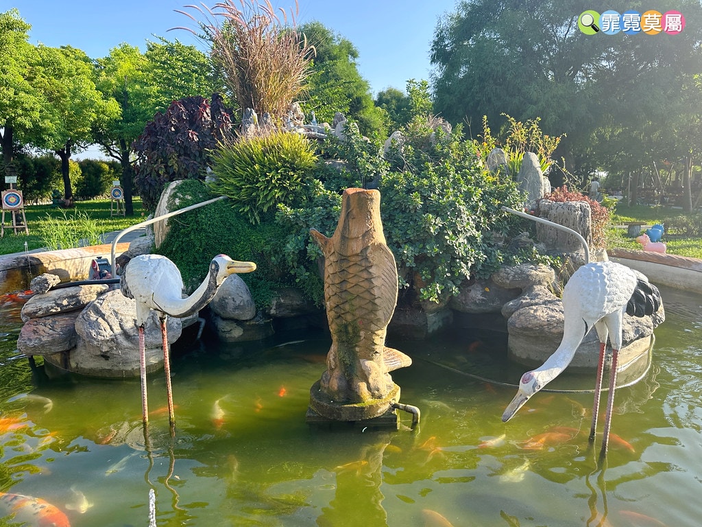 ★彰化親子景點★ 長頸鹿休閒農場,假日限定開放百元門票暢遊一 S__122175587_0