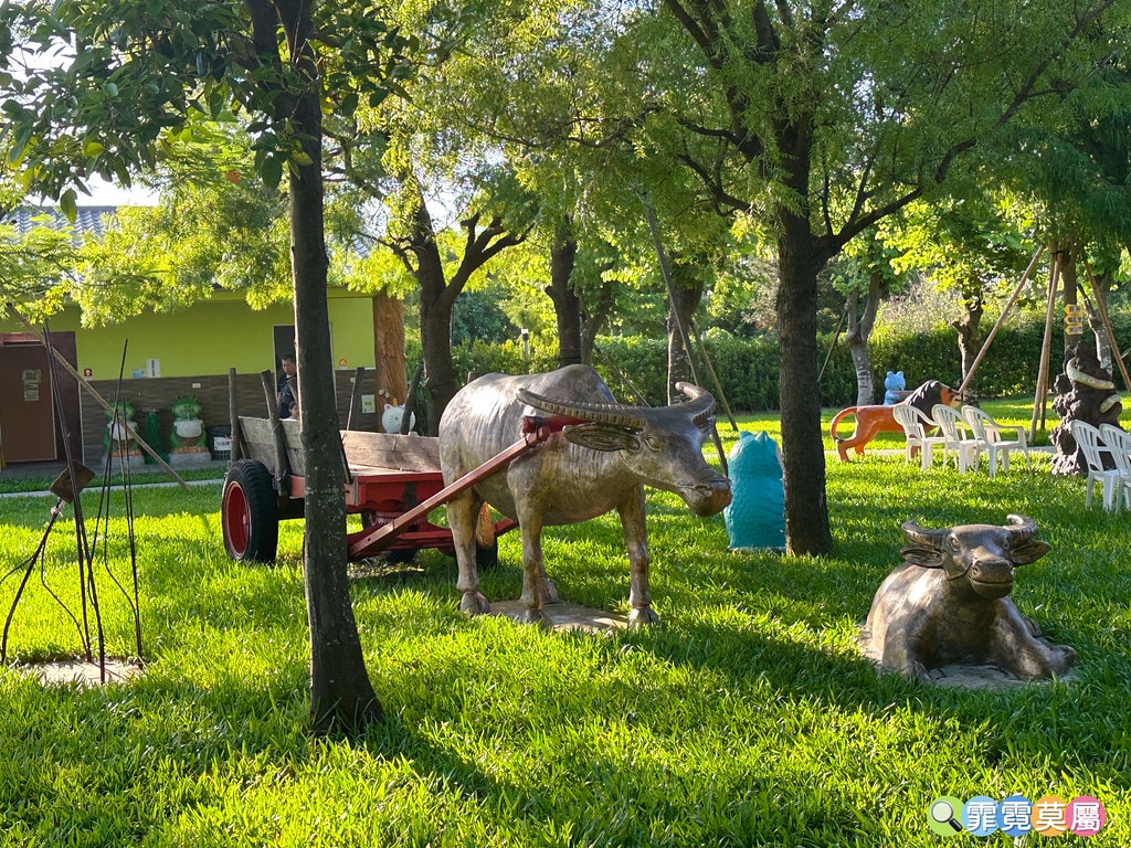 ★彰化親子景點★ 長頸鹿休閒農場,假日限定開放百元門票暢遊一 S__122175590_0