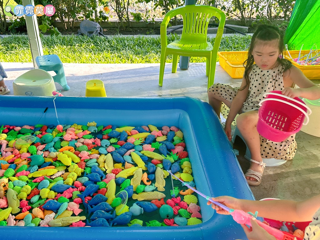 ★彰化親子景點★ 長頸鹿休閒農場,假日限定開放百元門票暢遊一 S__122175582_0