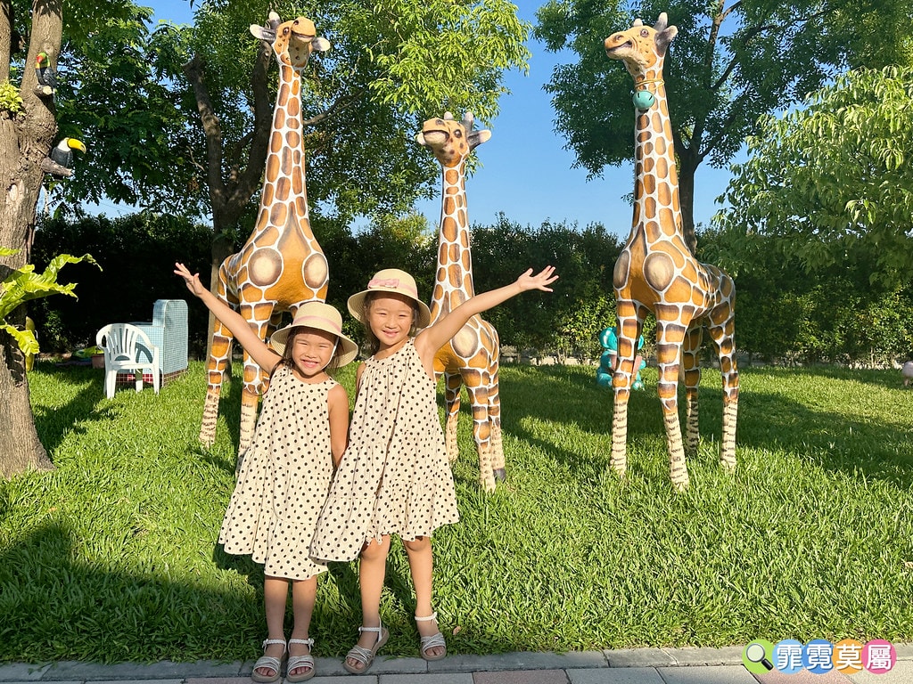 ★彰化親子景點★ 長頸鹿休閒農場,假日限定開放百元門票暢遊一 S__122175610_0